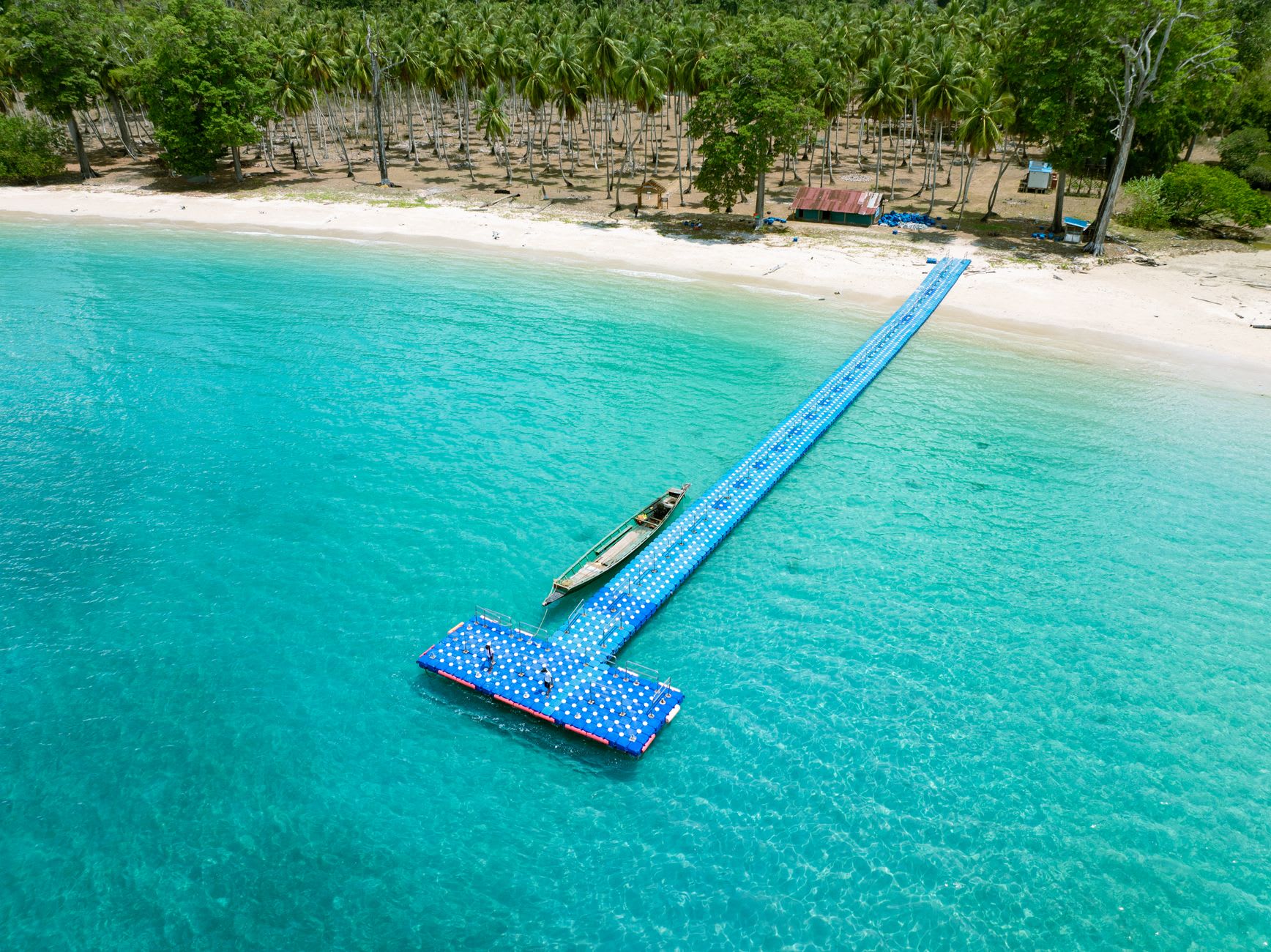 Lalaji Bay beach seen from the forest edge with undisturbed white sand and the vivid turquoise of the reef visible through clear water
