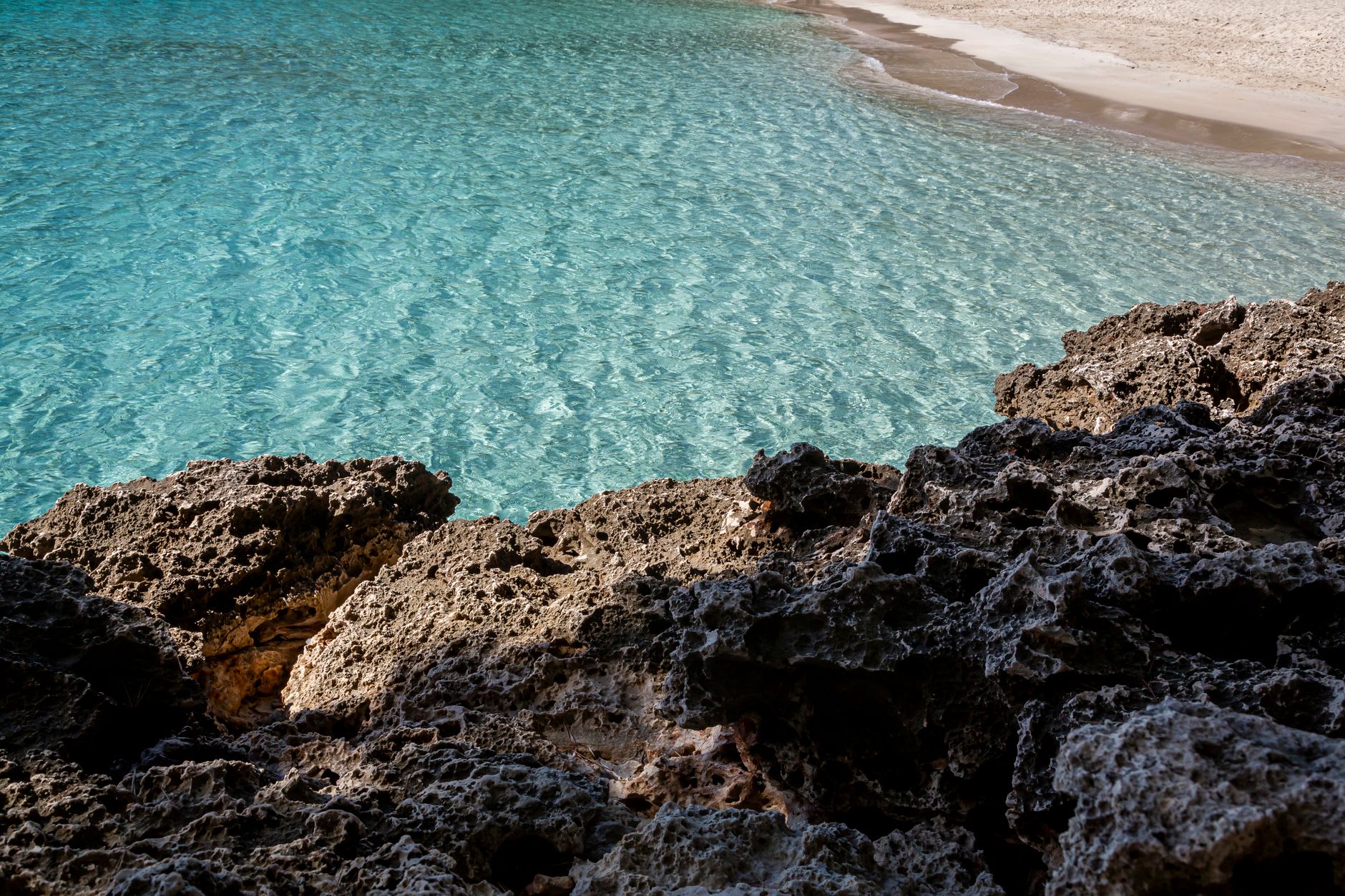 Someone snorkeling along the base of the limestone cliff at Little Bay, fish visible in the clear water below them