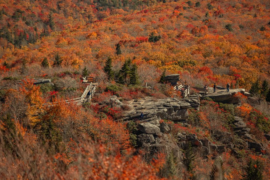 Trail through the forest at Cumberland Gap with dappled autumn light