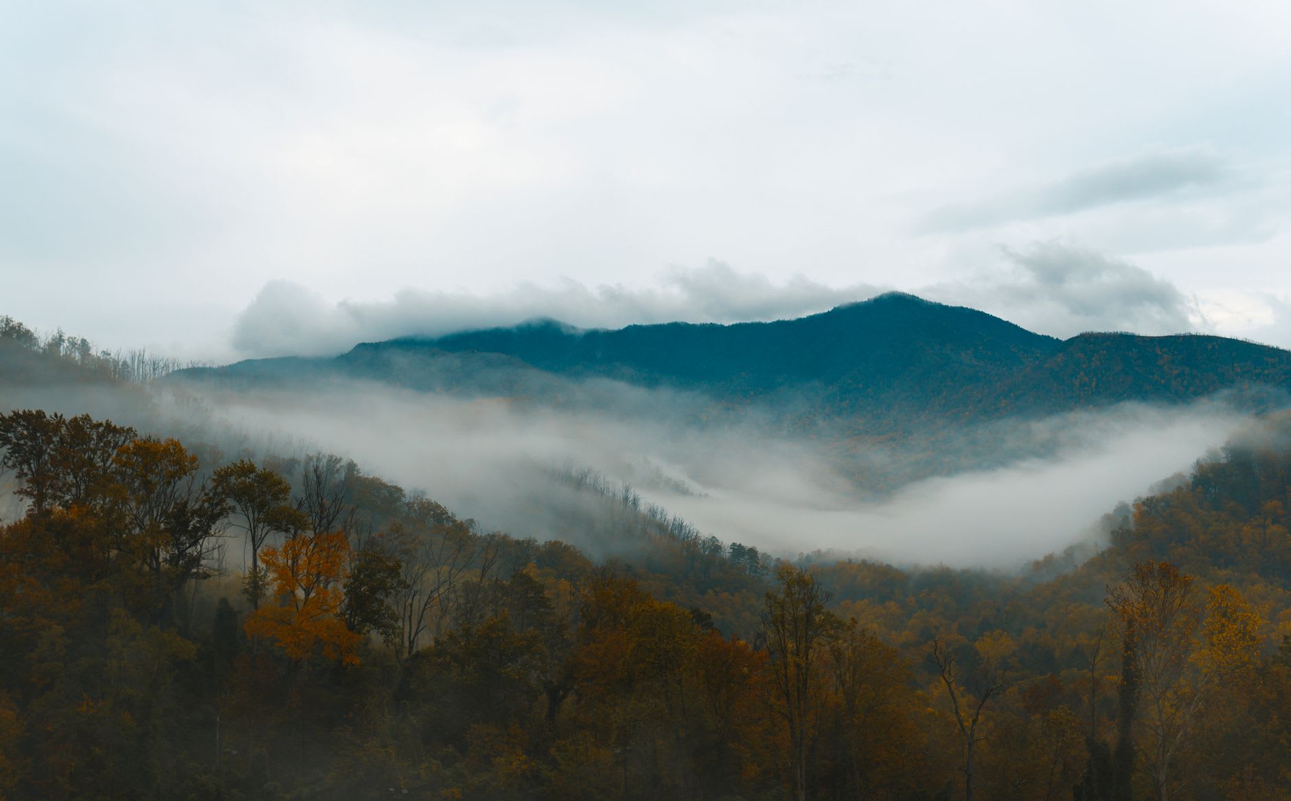 The LeConte Lodge cabins at the summit of Mount LeConte, above the cloud line, with a vast mountain panorama below
