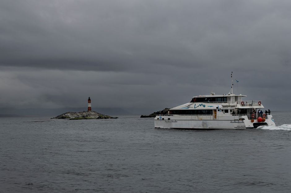 South American sea lions crowded on the rocky shores of an islet in the Beagle Channel