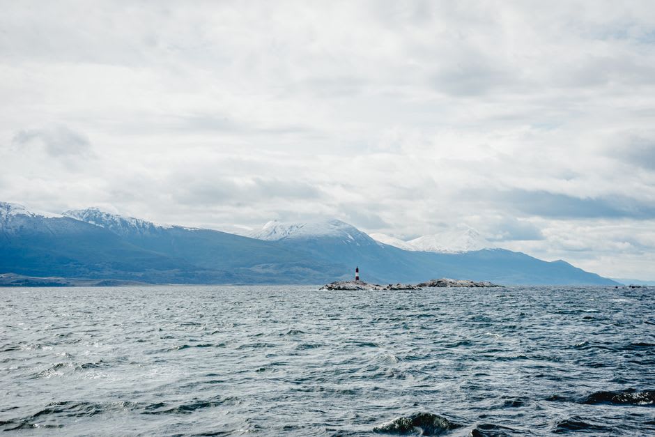 Magellanic penguins standing along the rocky shore of Isla Martillo in the Beagle Channel