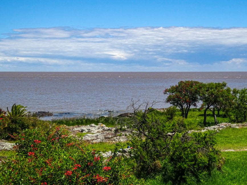 A wooden dock stretching into the Iberá wetlands at sunset