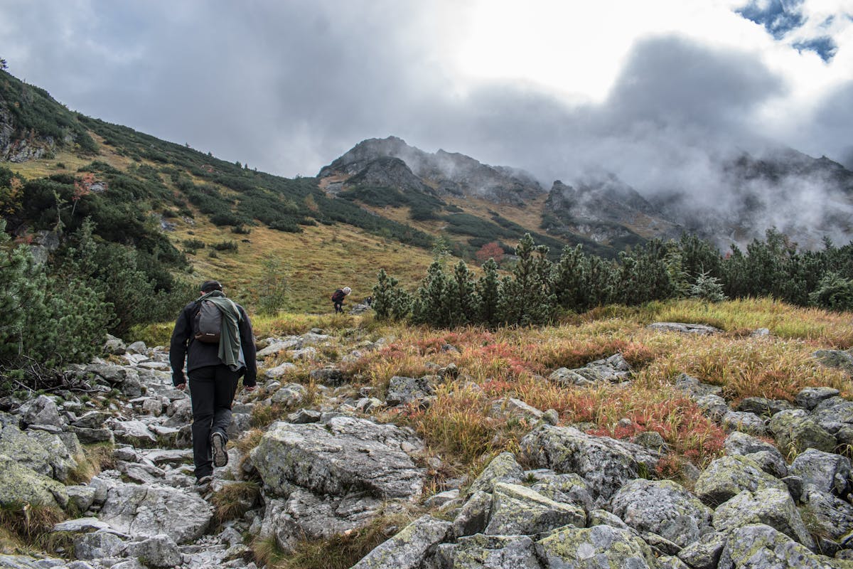 A hiking trail winding through mountain terrain near El Chalten