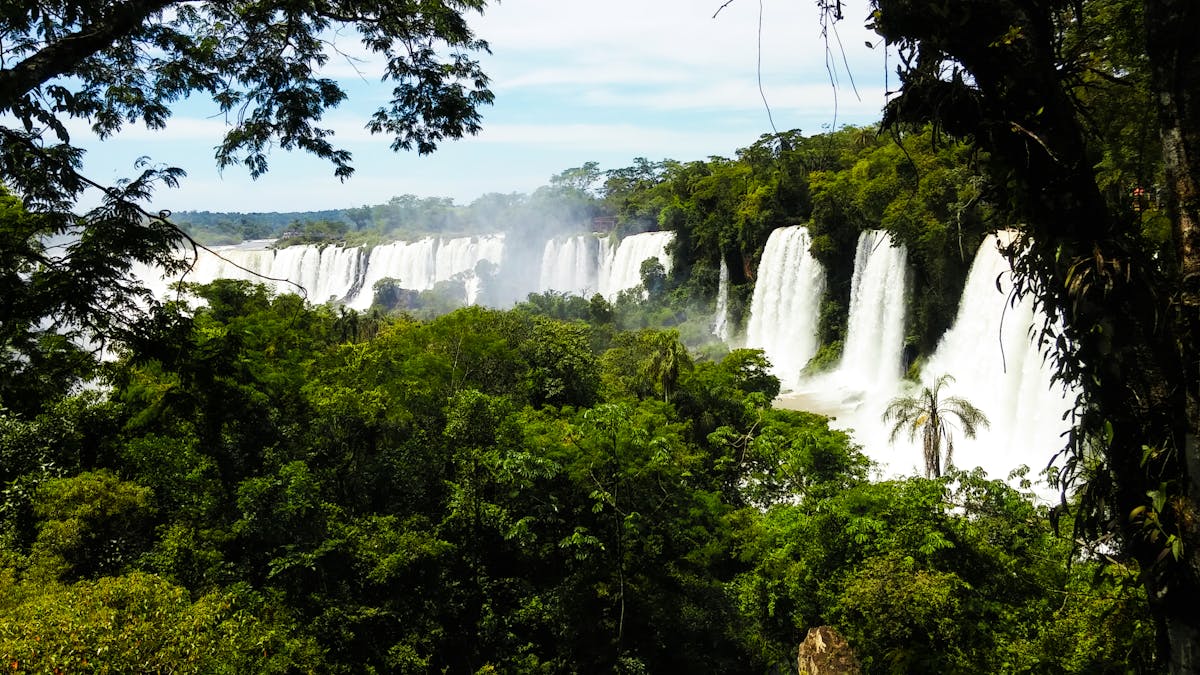 The thundering cascades of Iguazu Falls surrounded by tropical jungle