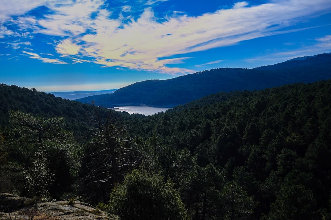Una pasarela de madera cruzando un arroyo de montaña cristalino cerca de La Cumbrecita, Argentina