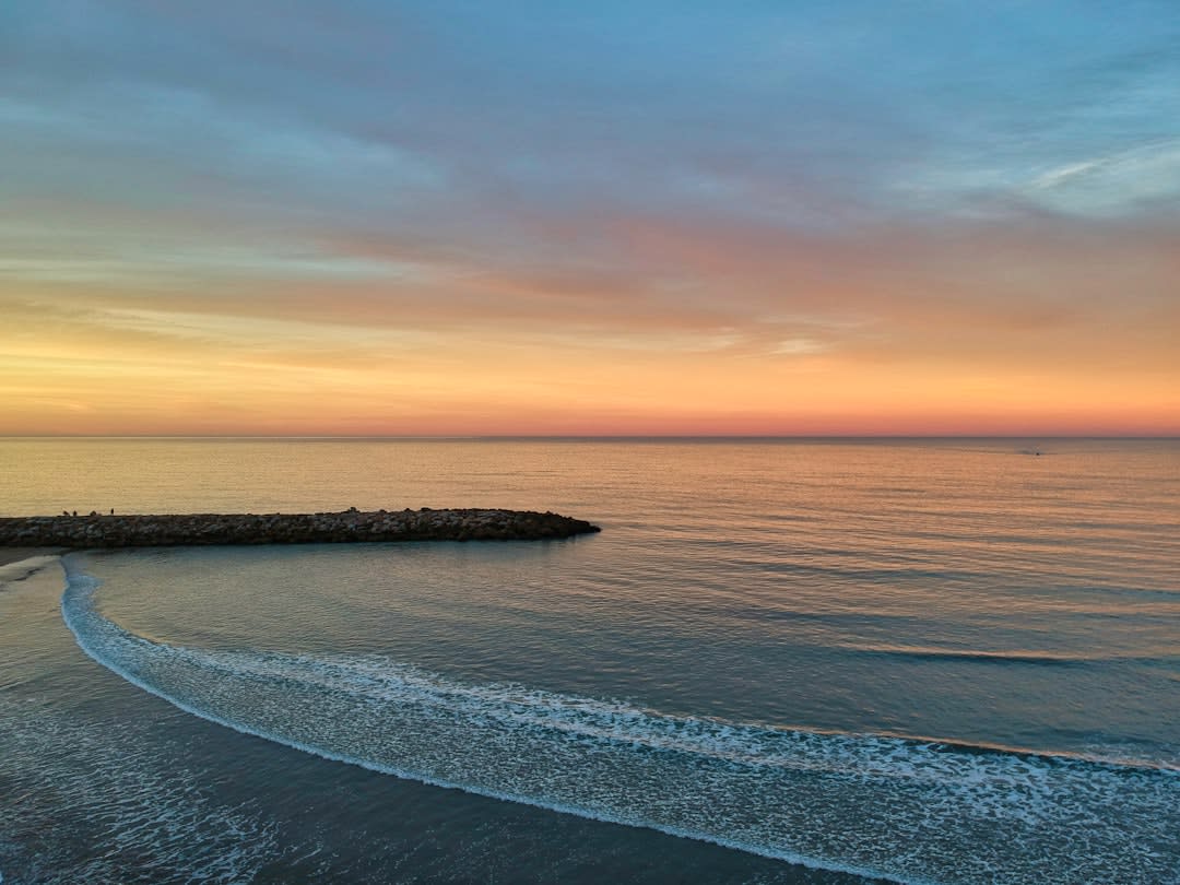 Fishing boats docked at Puerto de Mar del Plata in the early morning with sea lions on the nearby rocks