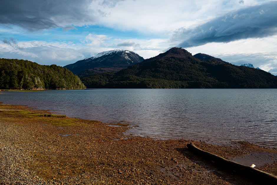 Hileras de viñedos a lo largo del valle del Río Negro cerca de la ciudad de Neuquén