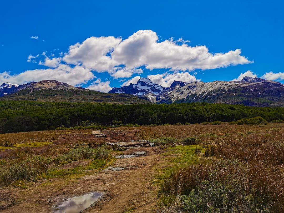 Paysage de steppe volcanique balayé par le vent s'étendant vers l'horizon près de Zapala