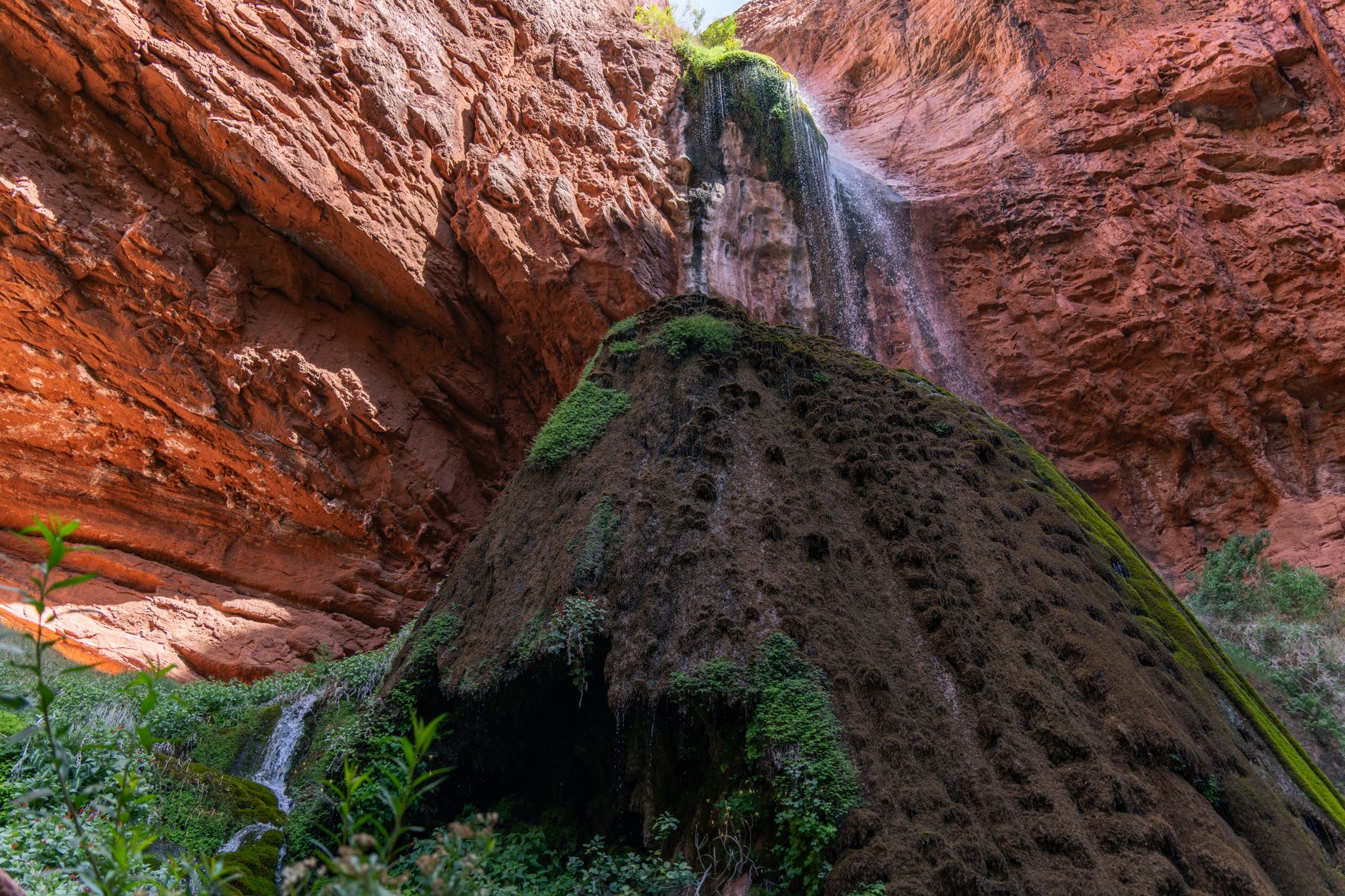 Havasu Creek running impossibly turquoise between red canyon walls, with cottonwood trees lining the banks in spring green
