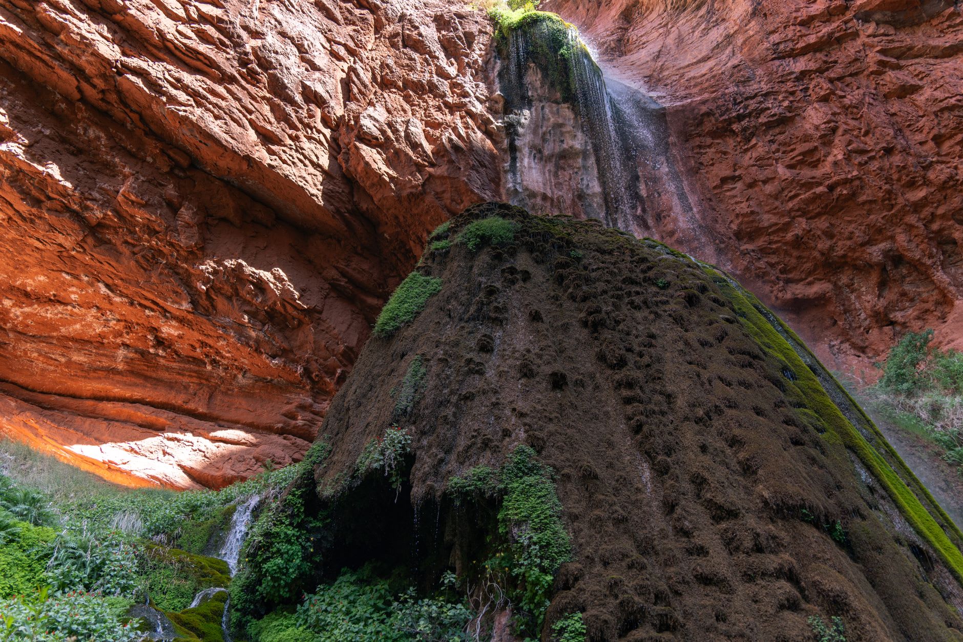 Mooney Falls plunging 50 meters over travertine into a turquoise pool, the sheer red canyon walls covered in green fern and moss