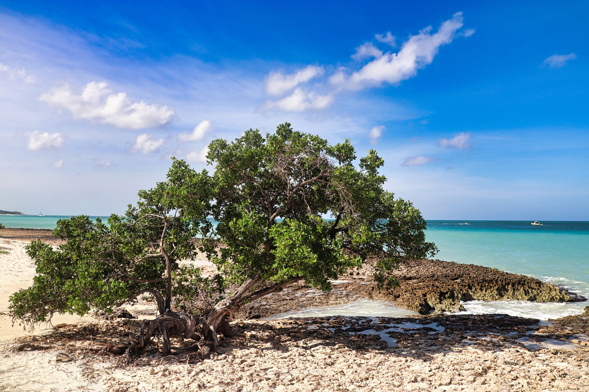 Snorkelers floating above the shallow reef at the eastern end of Baby Beach with the circular lagoon visible behind them