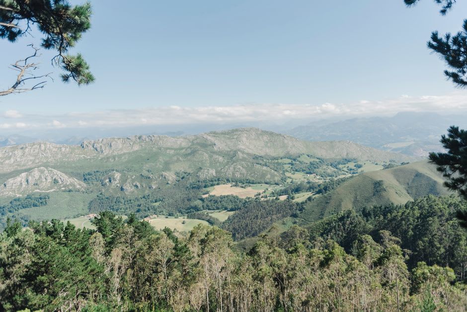 Luz solar filtrándose entre robles centenarios cubiertos de musgo en la reserva del bosque de Muniellos