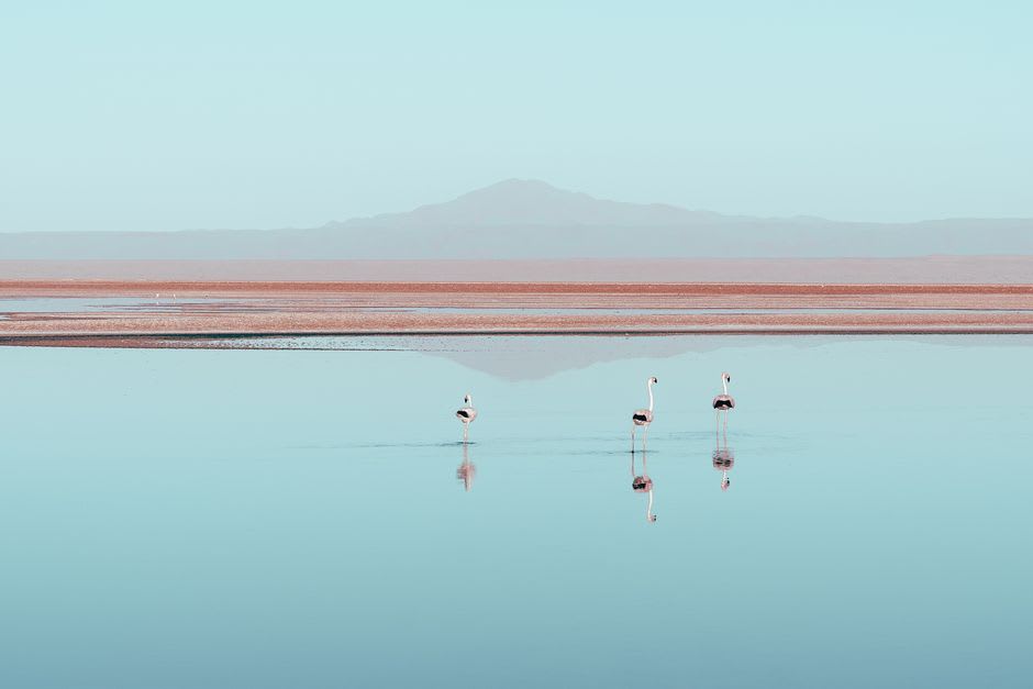 Swimmers floating effortlessly in the saline water of Laguna Cejar