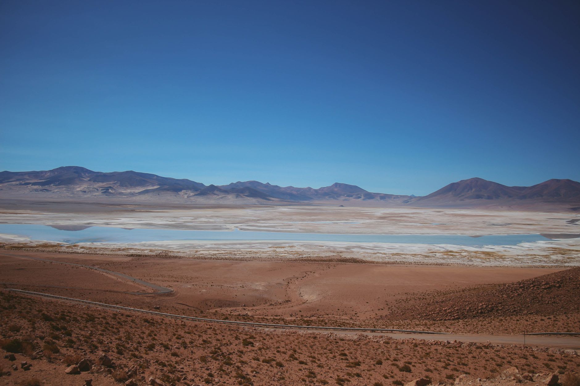 Laguna Miñiques with a volcanic peak above and flamingos feeding in the foreground, puna grassland stretching all around