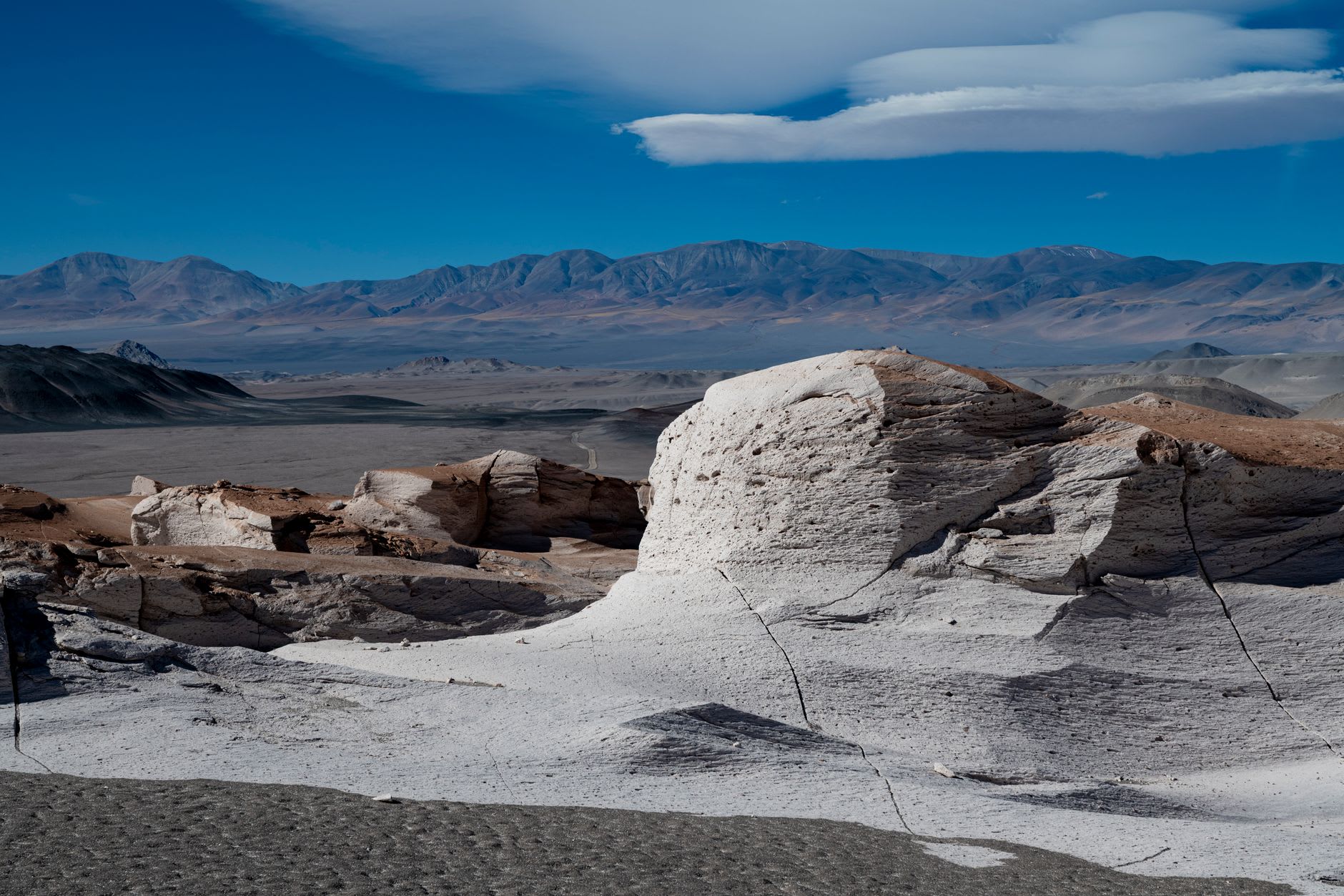 A lone vicuña grazing on pale altiplano grass near the salt-crusted edge of the lagoon, volcanic peaks behind
