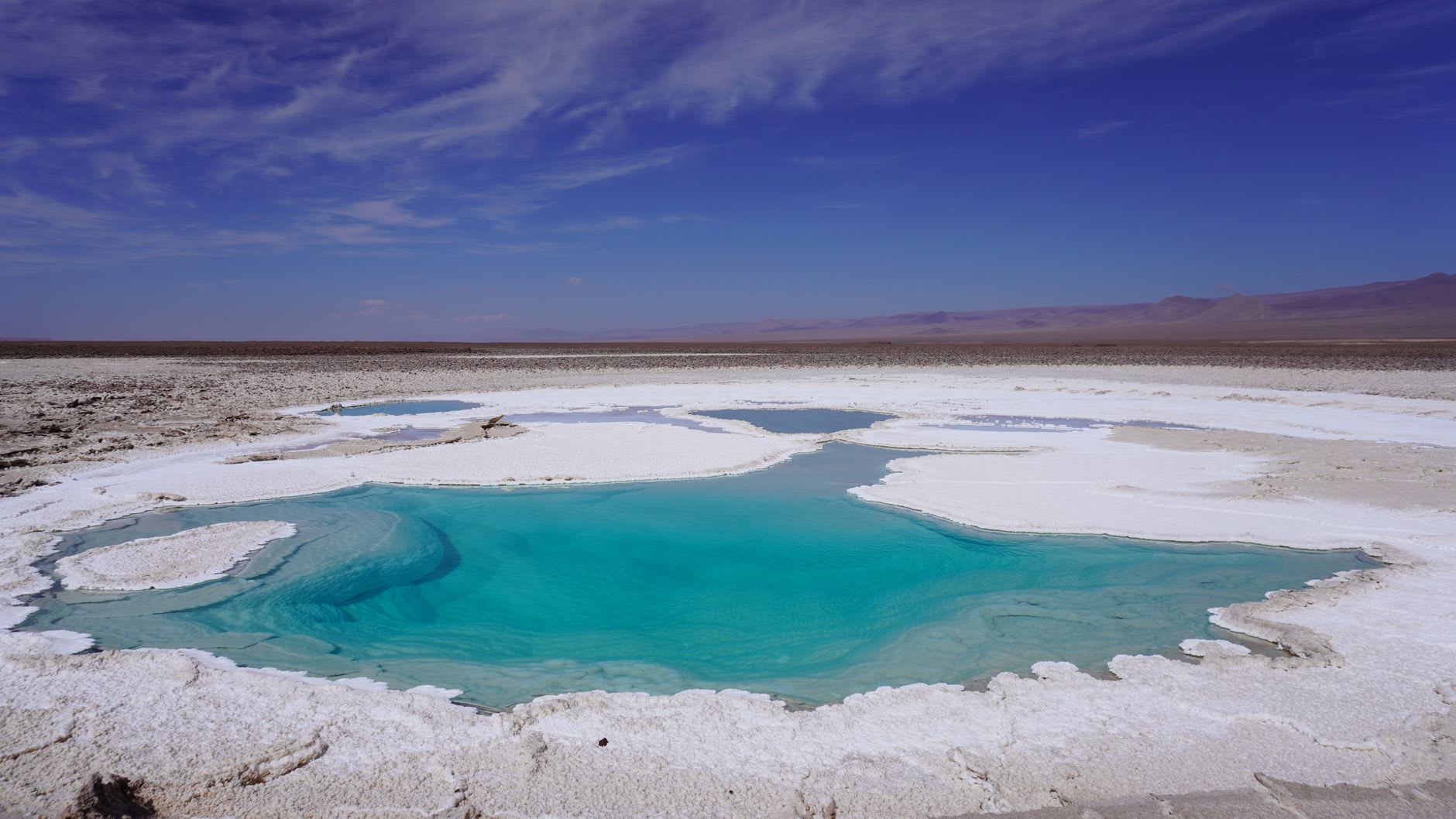 The polygonal salt crust of the Salar de Atacama up close, each hexagon ringed with crystalline white ridges