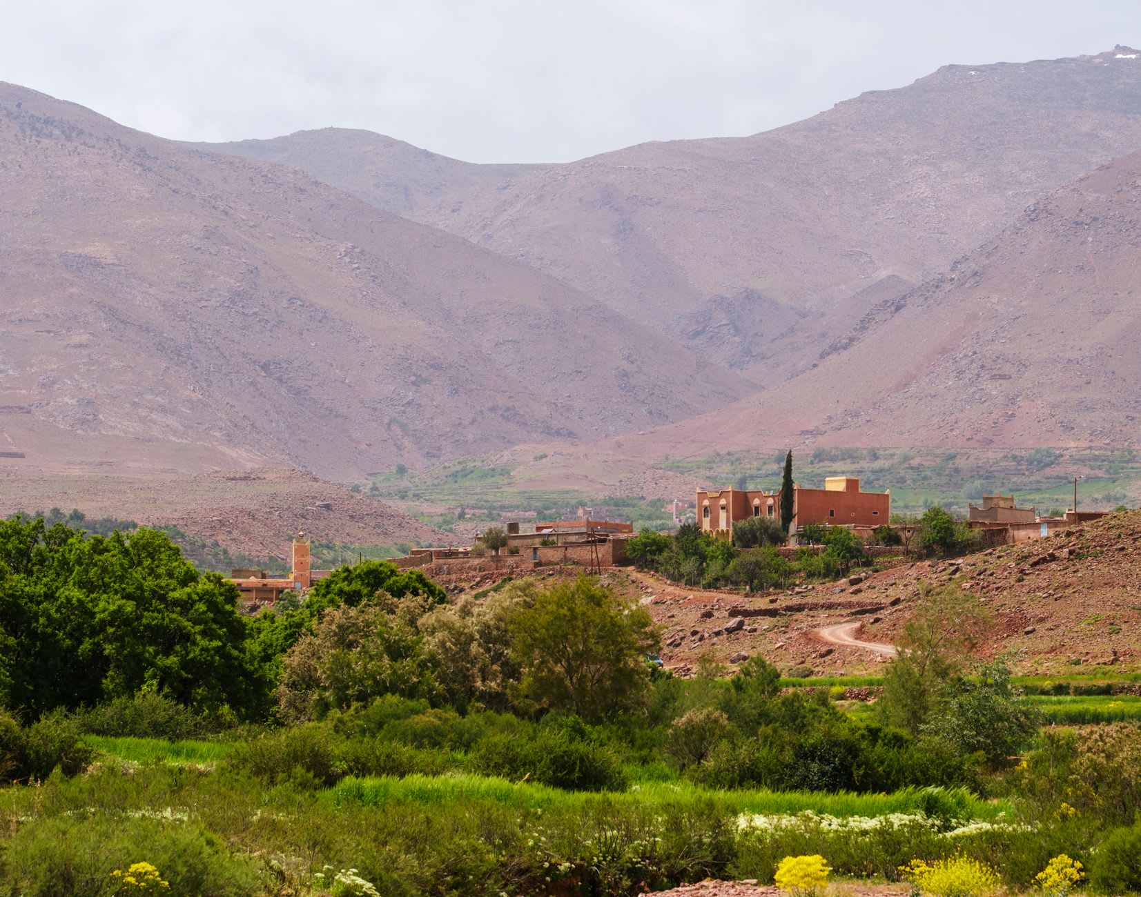 Almond trees in full white bloom on the terraced hillsides above Tafraoute, pink granite boulders rising behind