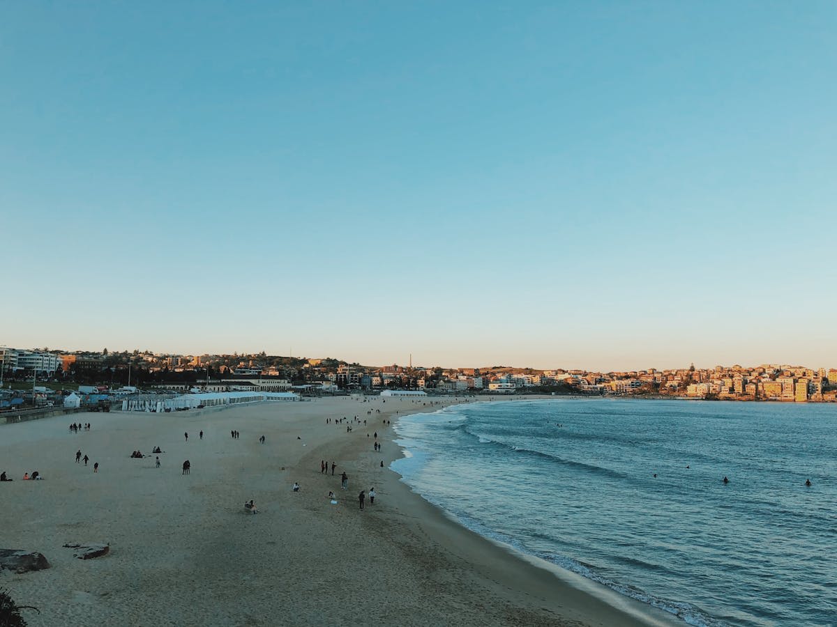Swimmers and surfers at Bondi Beach on a golden morning