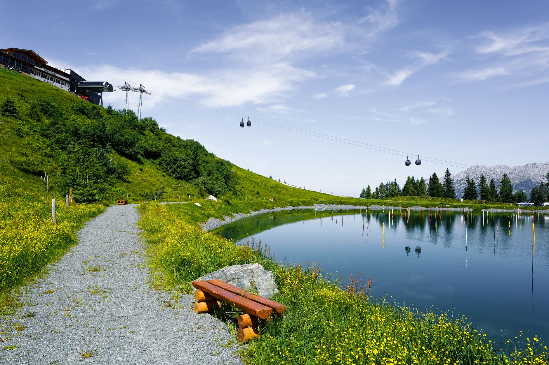 The Wildsee lake in summer with pine-forested shores and the Seefeld plateau rising beyond, the water a dark clear green with the Wetterstein peaks reflected on the far side