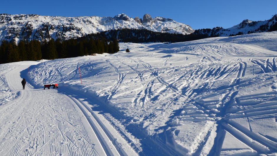 Cross-country ski tracks cutting through fresh snow in the Tannheim Valley with mountains behind