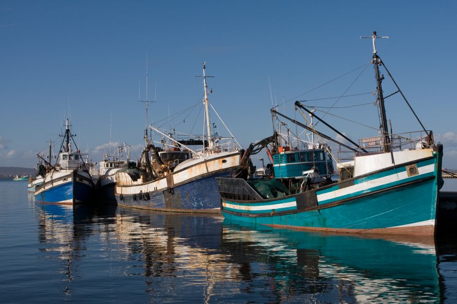 Commercial lobster boats rigged with traps stacked on deck, moored in the harbour at Spanish Wells