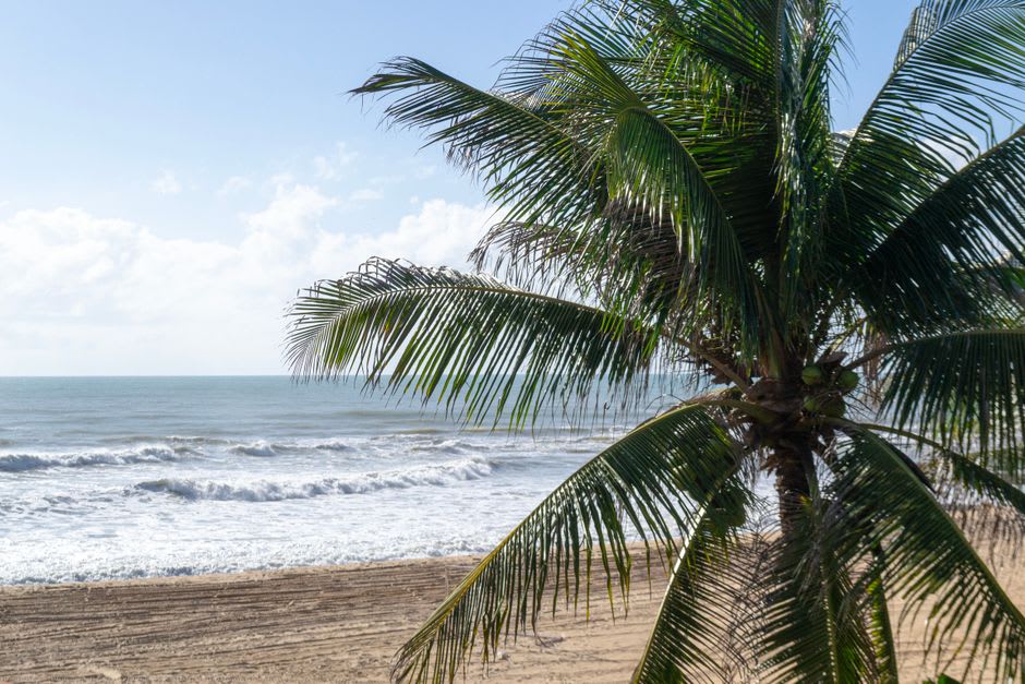 View of Mar Grande village beach with palm trees and calm bay water