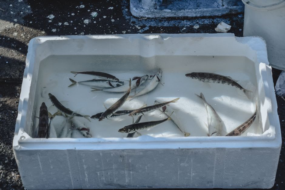 Fresh fish laid out on ice at the Budaiya morning market with vendors and buyers negotiating prices