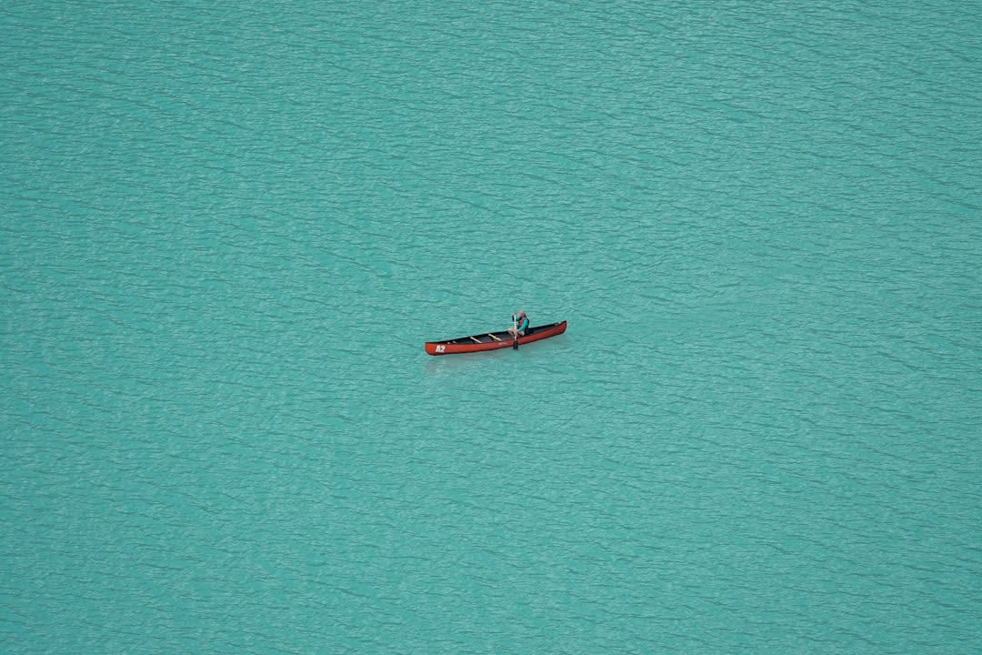 Pelicans diving for fish in the shallow turquoise water near a sandbar at Playa El Requesón in Bahía Concepción