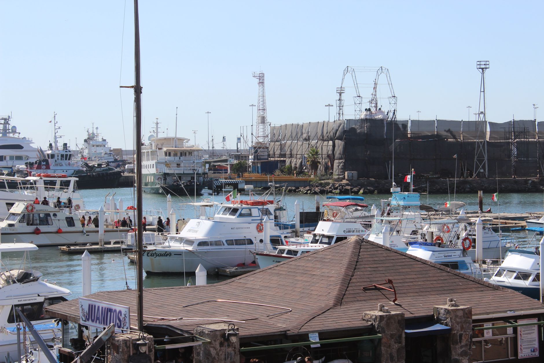 Des rangées de stands de tacos de poisson pané le long du marché du malecón d'Ensenada, avec de la vapeur qui monte des friteuses