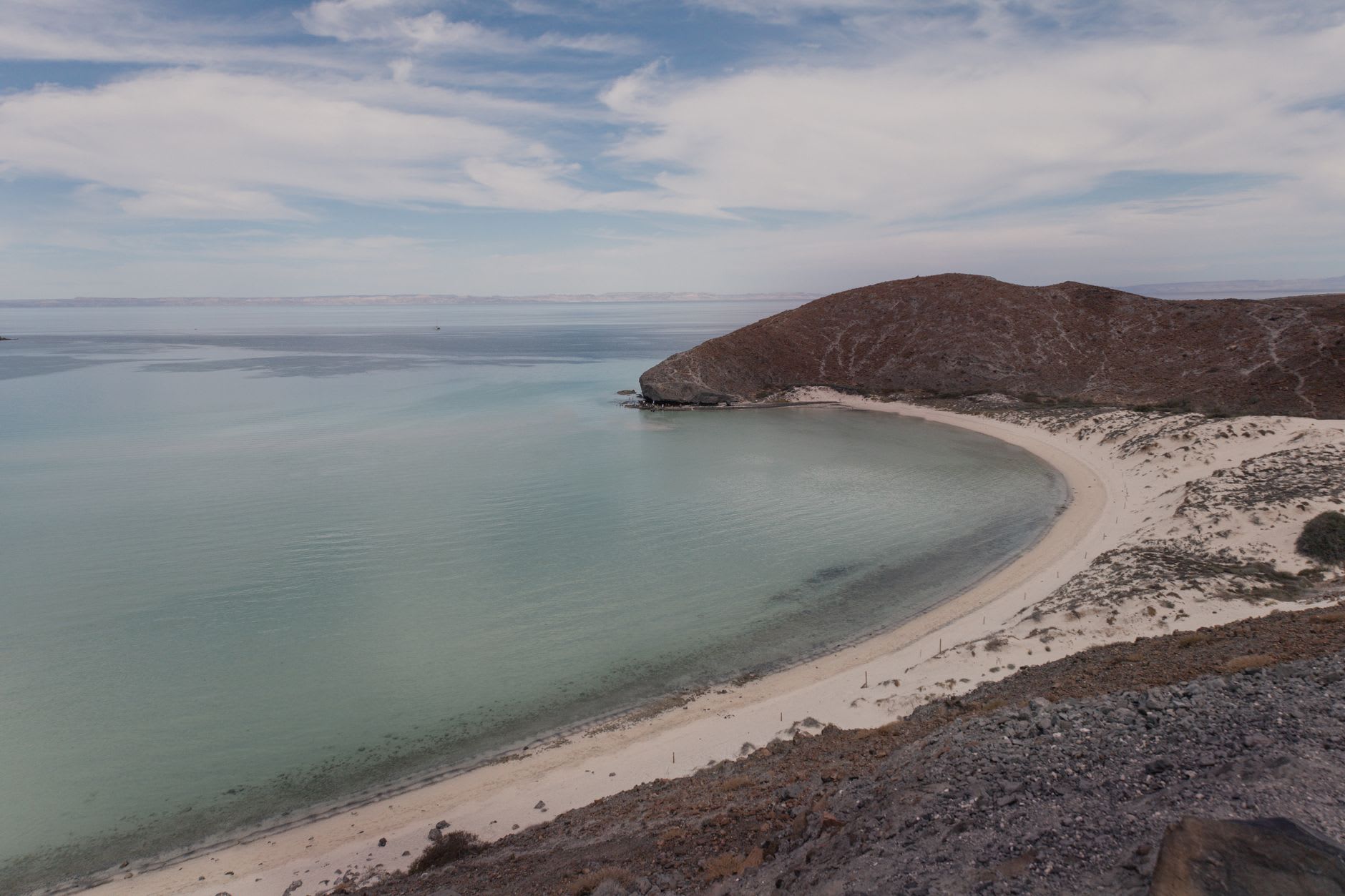 The beach on Isla Espíritu Santo with crystalline turquoise water and white sand, a sea lion visible near the waterline and the dramatic rocky cliffs of the island rising behind