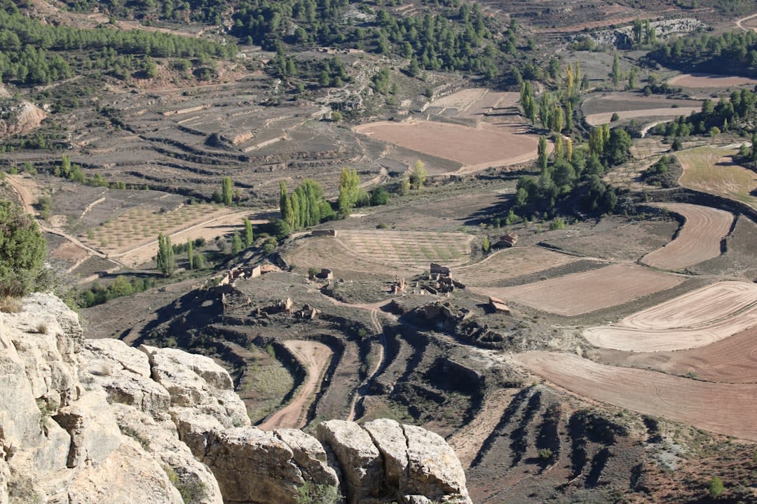 Terraced orchards of orange and pomegranate trees irrigated by centuries-old Jesuit-built channels in the oasis canyon around Misión San Javier