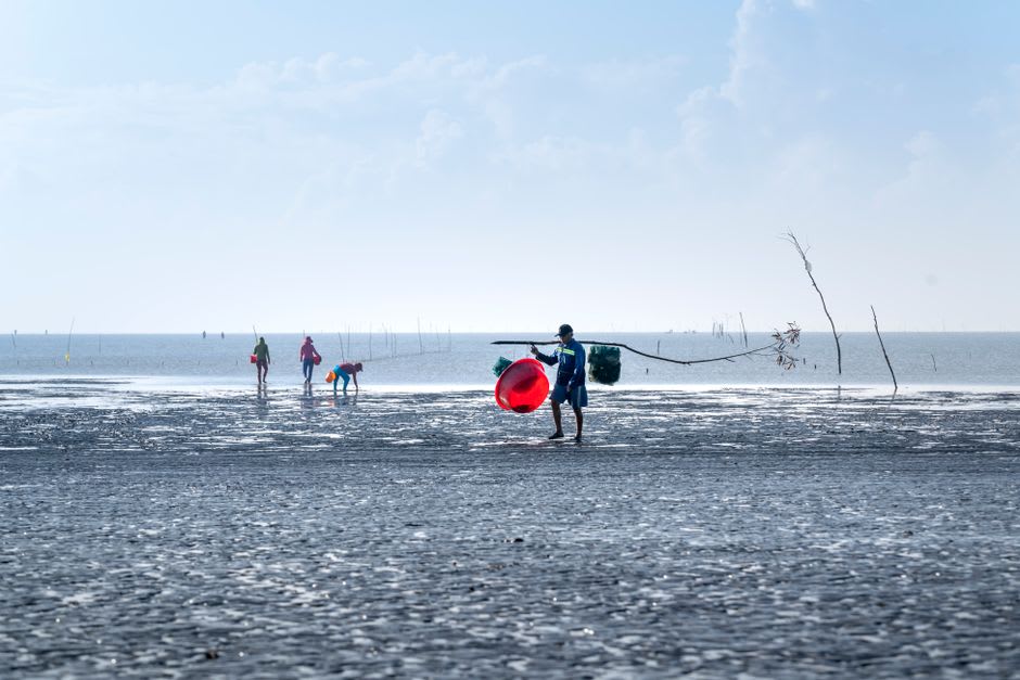 Fishing pangas resting on the exposed sand flats of San Felipe at extreme low tide with the Sea of Cortez visible far in the distance