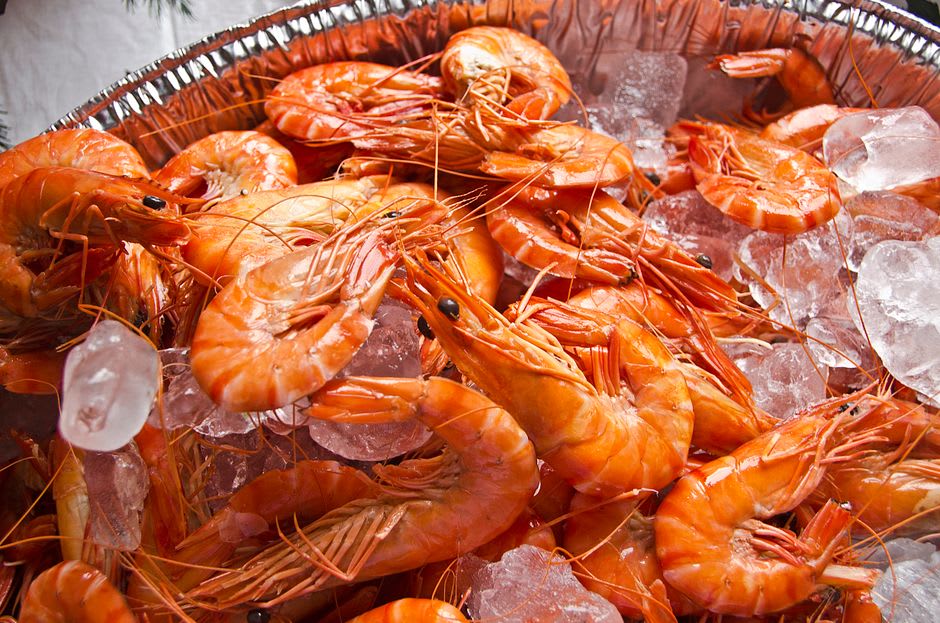 Rows of camarones cooking on a griddle at a beachfront shrimp stand along the San Felipe malecón