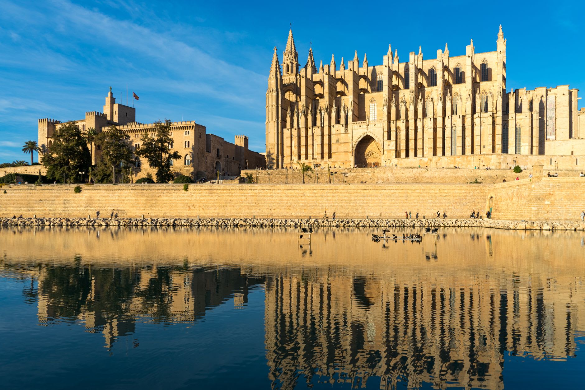 The Gothic facade of La Seu cathedral rising above Palma's palm-lined waterfront