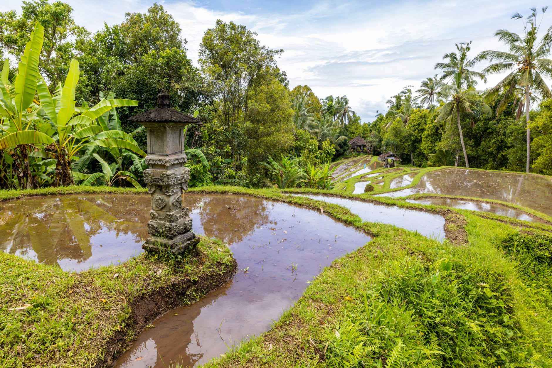 Stone stepping stones crossing the main koi pool at Tirta Gangga, lotus flowers visible in the water below