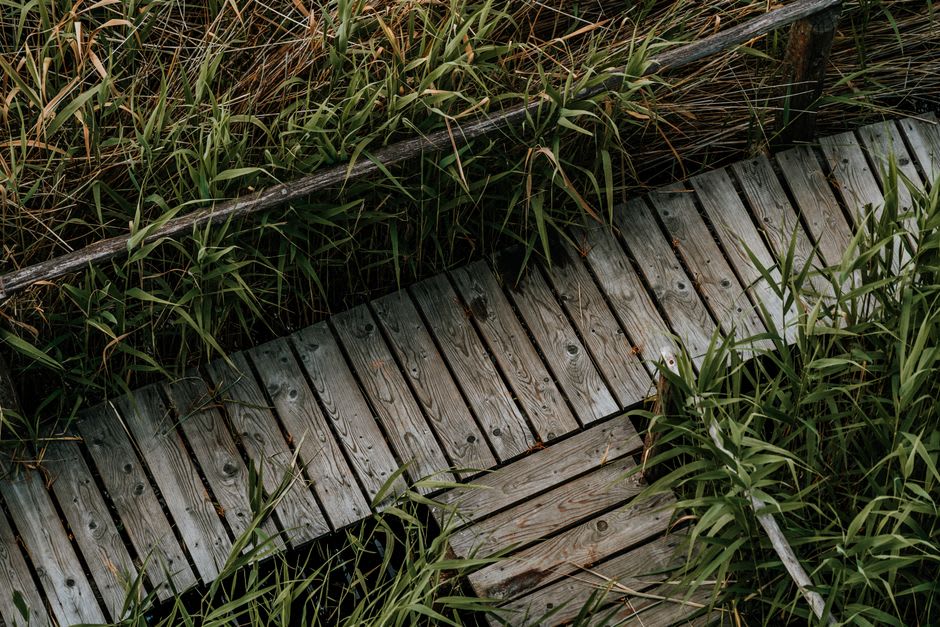 The wooden boardwalk trail crossing the reed beds and open water of Ammiq Wetland