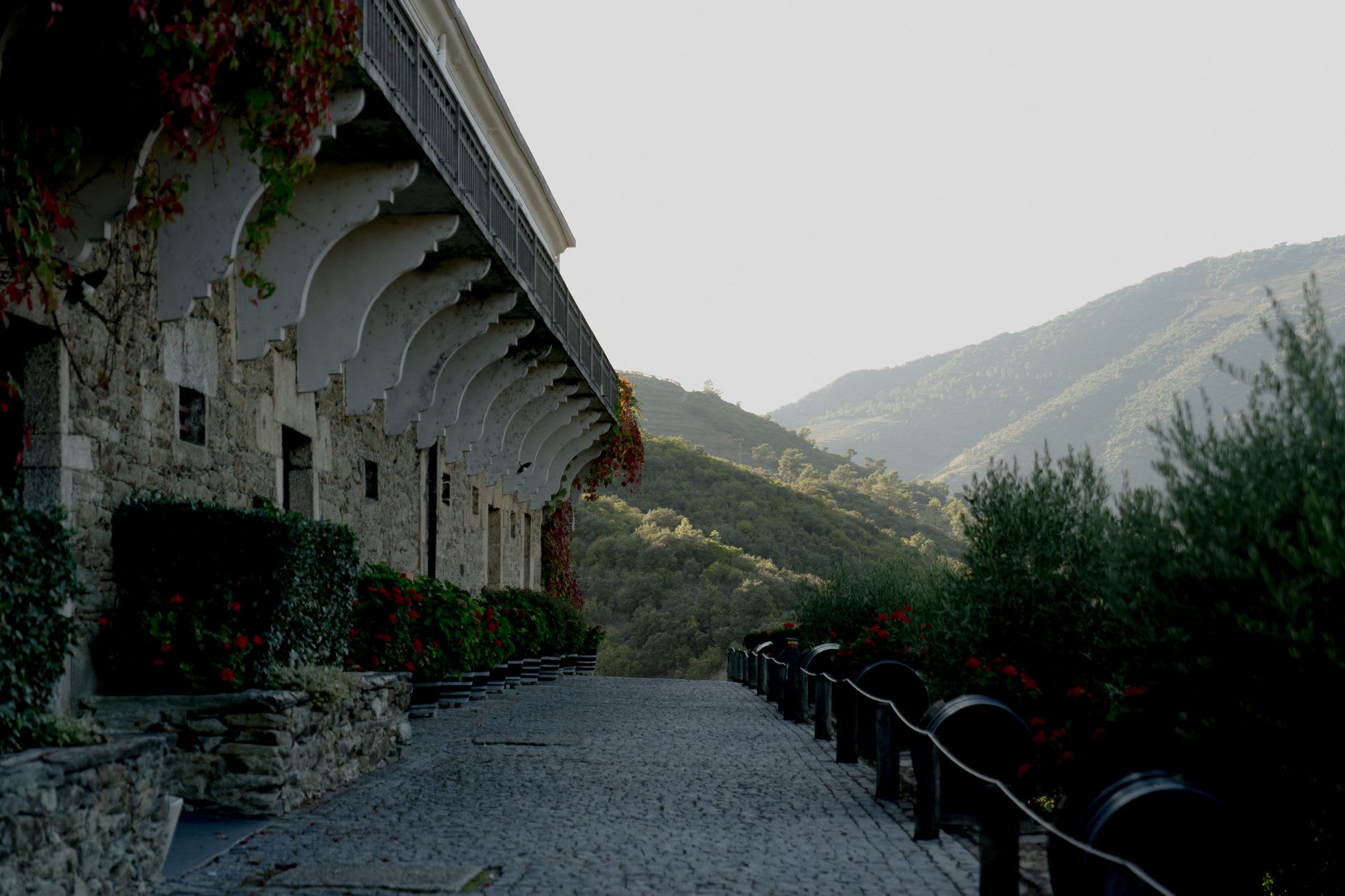 Rows of wine barrels aging in the ancient Roman tunnels beneath Chateau Ksara, stretching into the golden lamplight