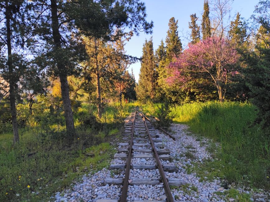 Des rails de chemin de fer envahis par la végétation contournant un bâtiment de gare abandonné à Rayak, dans la lumière de l'après-midi