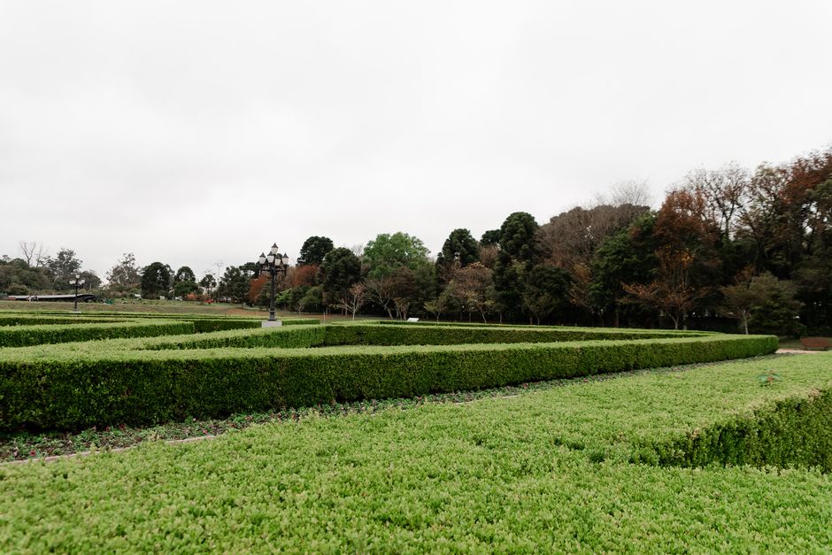 Figuras esculpidas de boj y tejo en el Parc des Topiaires con vistas a Durbuy