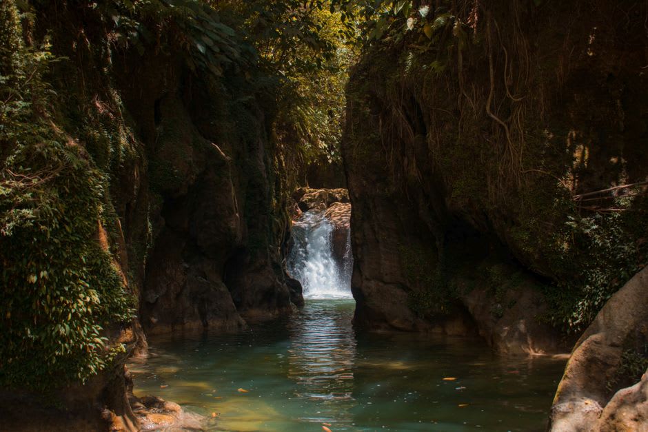 Tiger Fern waterfall dropping into a clear jungle pool