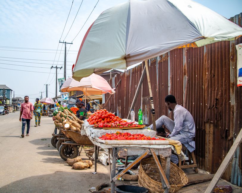 Bariba trader arranging yams at a stall in Parakou's weekly market