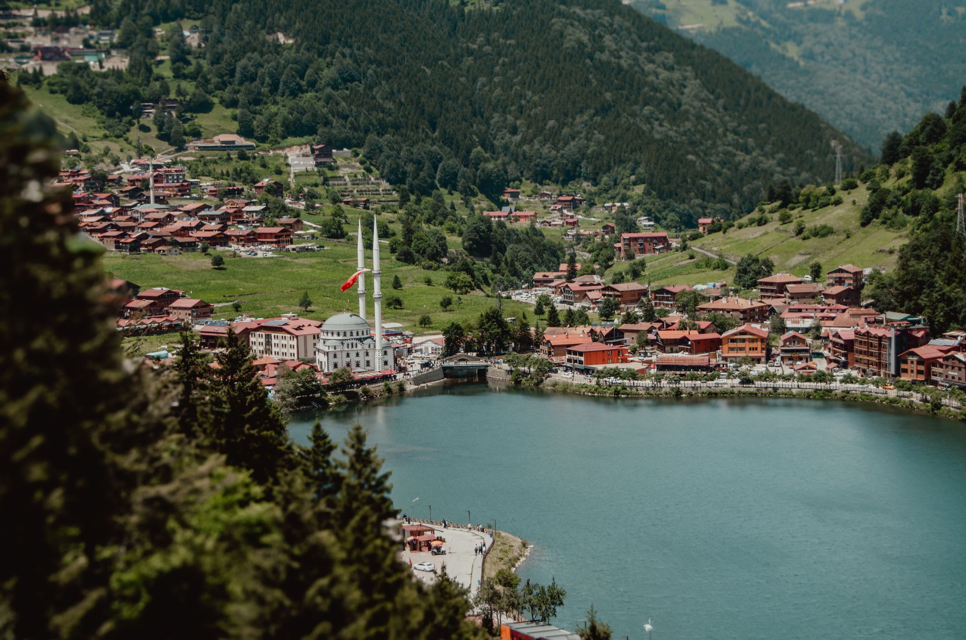 El mercado matutino de pescado de Trabzon en el puerto, anchoas plateadas sobre hielo, las curtidas manos de un pescador ordenando la captura