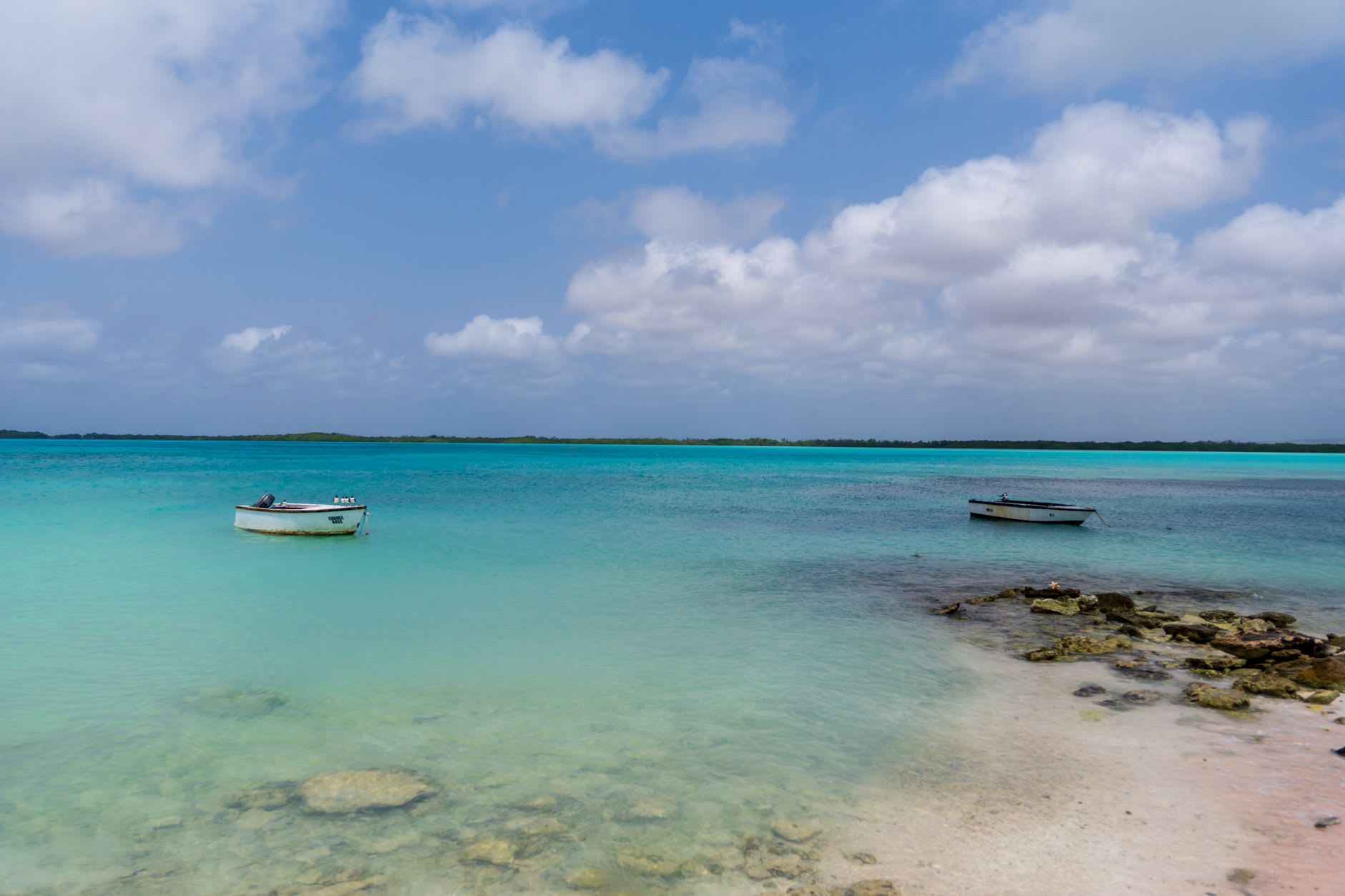 White sand and leaning palms on Klein Bonaire's north beach with the blue channel and Bonaire behind