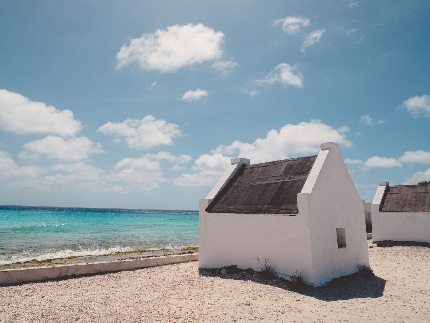 The square white Willemstoren lighthouse and its abandoned stone keeper's cottage on a flat windswept point, low scrub and black rock stretching toward a churning sea