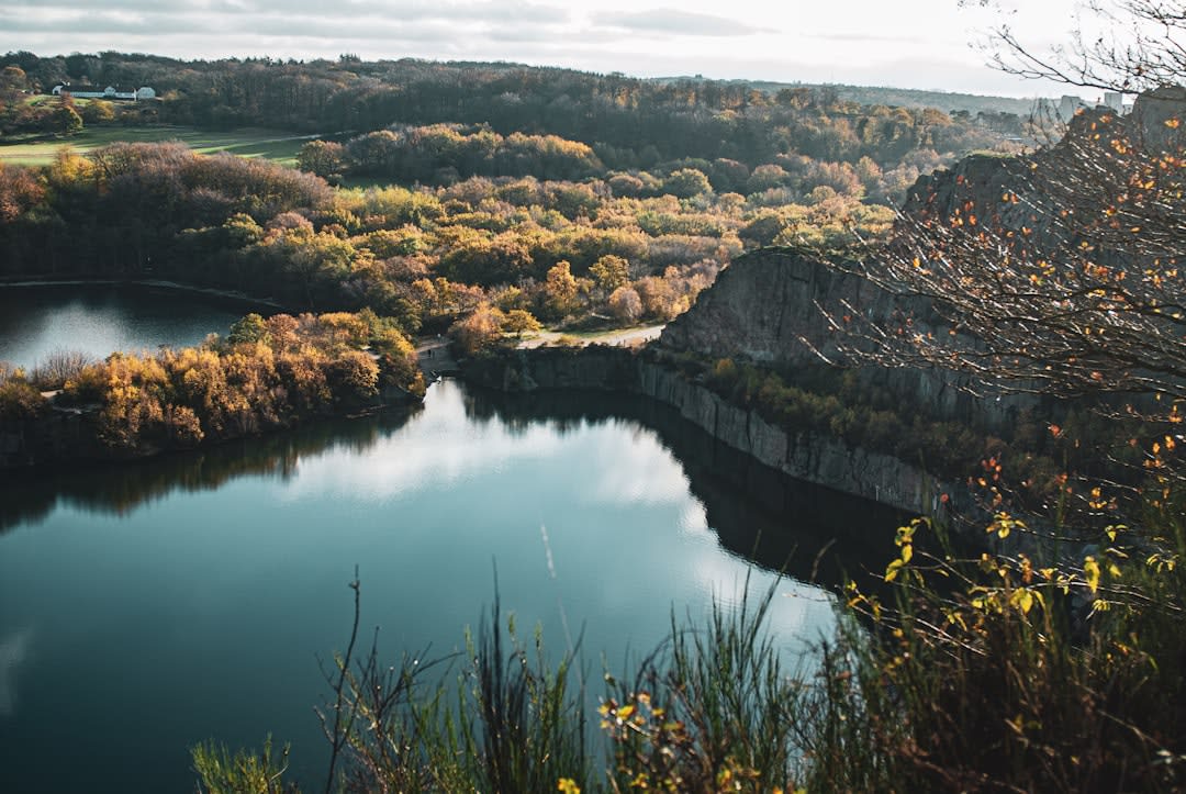Un pequeño lago del bosque rodeado de hayas en la reserva natural de Paradisbakkerne