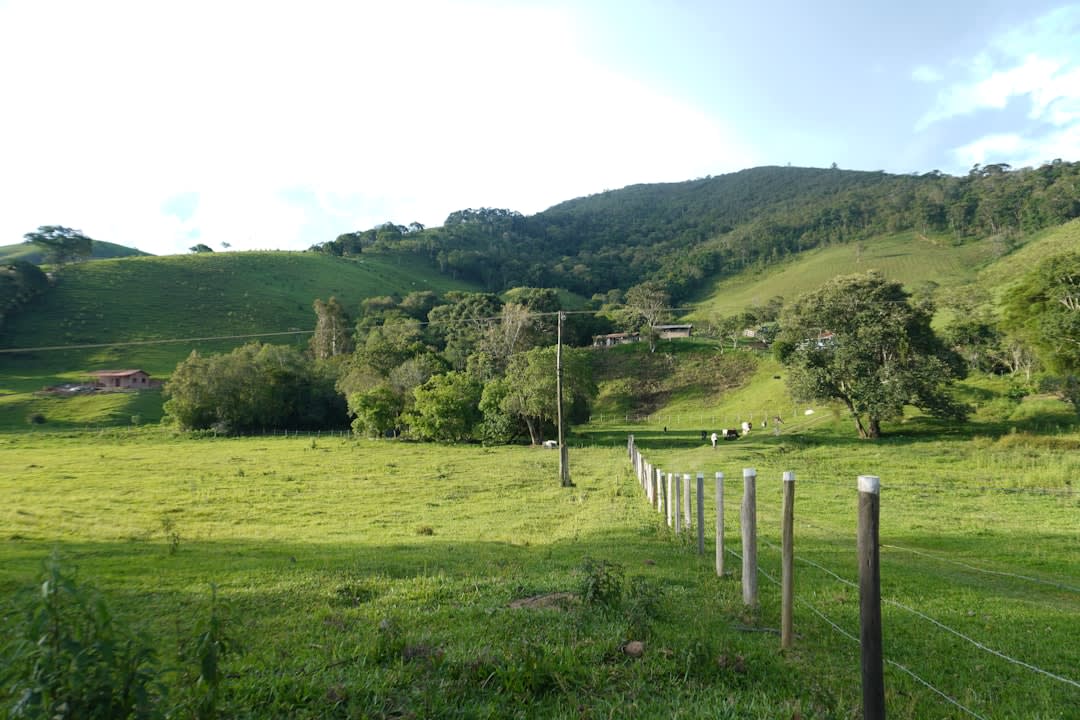 A small crescent beach tucked between canyon walls accessible only by boat on Lake Furnas