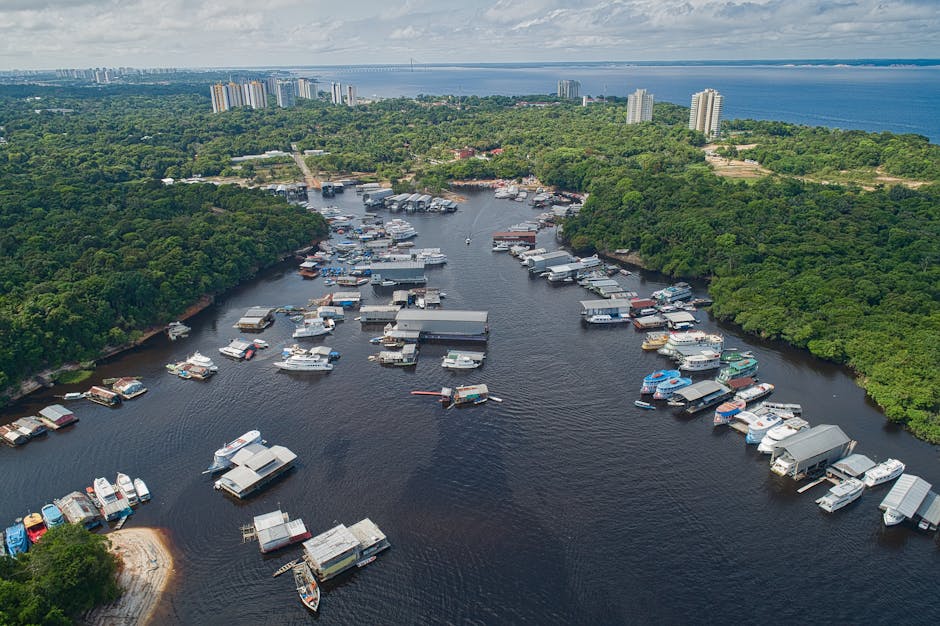 Dense Amazon rainforest canopy stretching to the horizon
