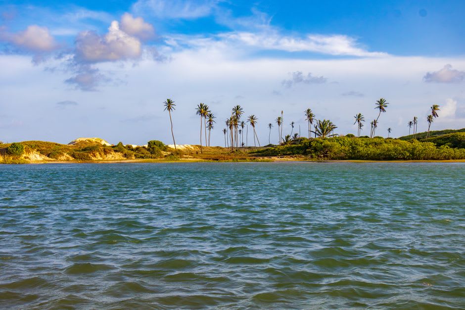 Wooden fishing boats moored in the mangrove channel near Mangue Seco village