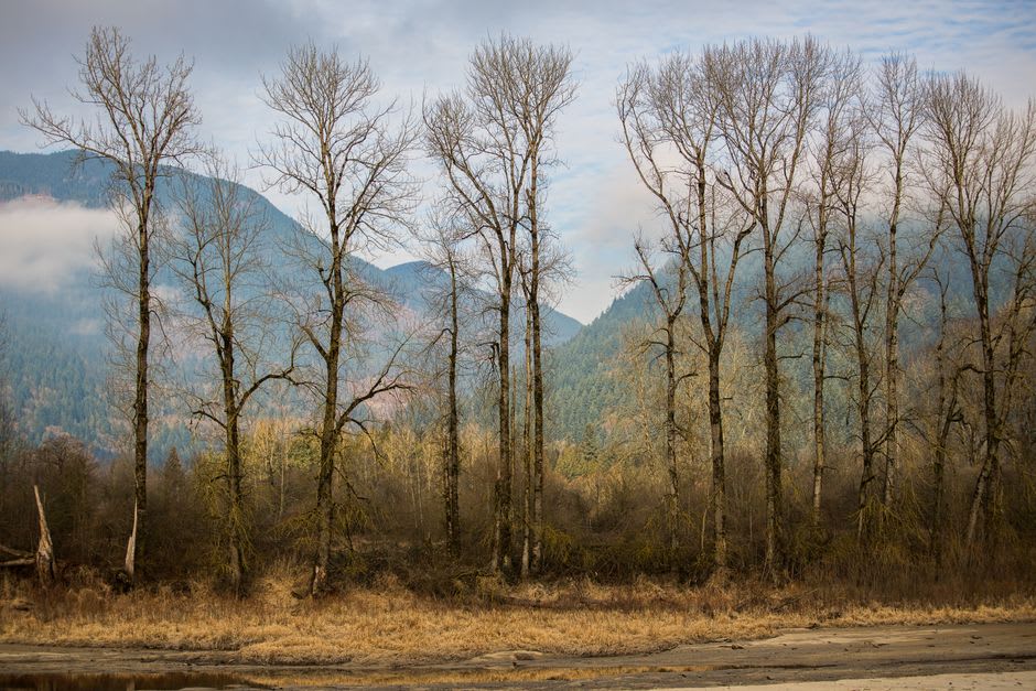 The public beach at Harrison Hot Springs with the lake stretching north between steep forested mountains